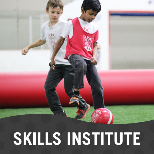 Skills Institute Classes